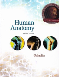 Human anatomy