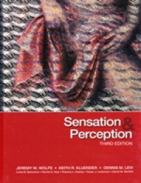 Image of Sensation & perception