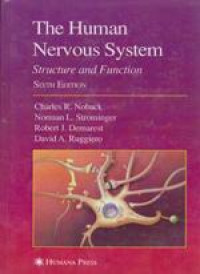 Image of Human Nervous System: Structure and Function